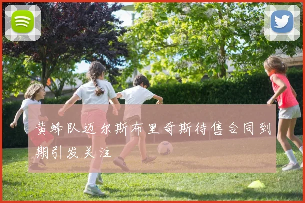 黄蜂队迈尔斯布里奇斯待售合同到期引发关注
