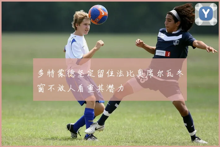 多特蒙德坚定留住法比奥席尔瓦冬窗不放人看重其潜力