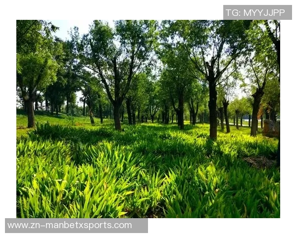 德科祝贺阿尔巴职业生涯圆满结束期待他未来的辉煌成就 德科祝贺阿尔巴职业生涯圆满结束期待他未来的辉煌成就